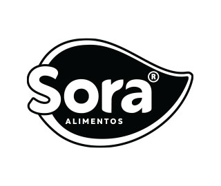 Design Sora logo